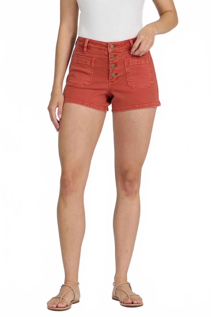 NEW DEAR JOHN DENIM carlisle shorts in burnt brick